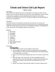 Read Onion And Cheek Cell Lab Report Pdfsdocuments2 