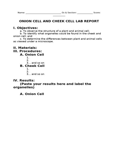 Read Online Onion And Cheek Cell Lab Report Sdocuments2 