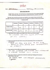 Full Download Onion Root Tip Mitosis Lab Answers 