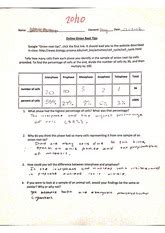 Full Download Onion Root Tip Mitosis Lab Answers 