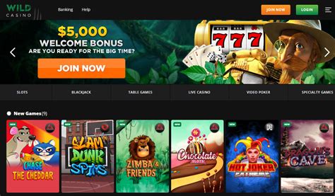 online casino nederland paysafecard ugoq