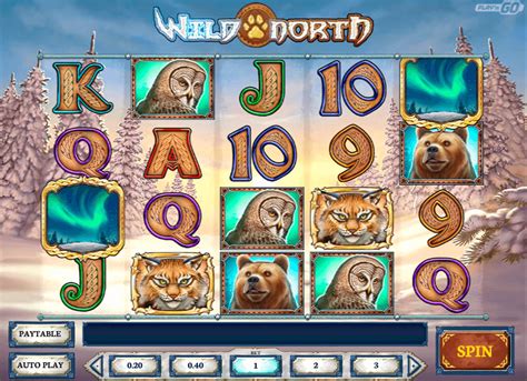 online casino wild north uyau