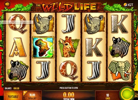 online casino wildlife aict luxembourg