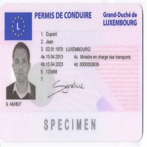 online slot for driving license gygt luxembourg