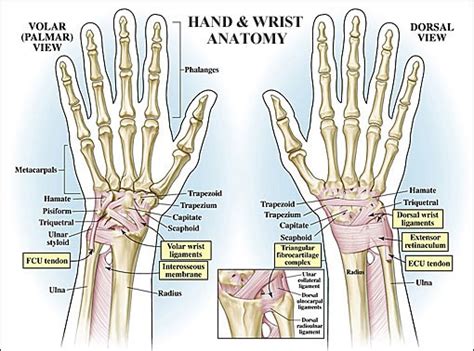 ont i handleden 1177
