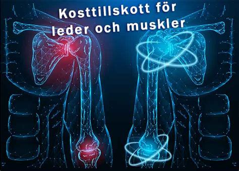 ont i leder och muskler ms