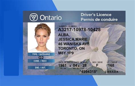 Download Ontario Drivers Licence Template 