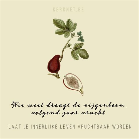 onvruchtbare betekenis