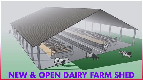 open front cattle shed layout