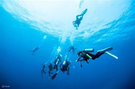 Open Water Diver