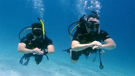 Open Water Diver Course