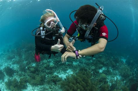 Open Water Diver Course Final Exam Answer Sheet