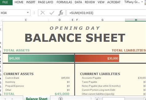 Opening Day Balance Worksheet For Excel Using The Balance Worksheet - Using The Balance Worksheet