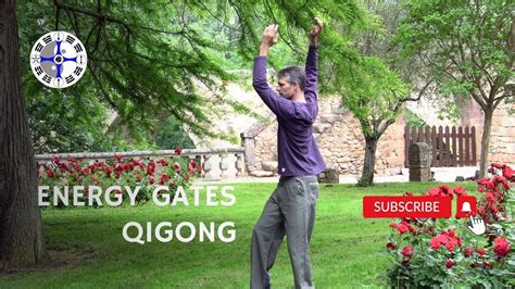 Read Online Opening The Energy Gates Of Your Body Qigong For Lifelong Health Tao Of Energy Enhancement 