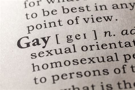 openly gay meaning