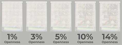 Openness Versus Protection