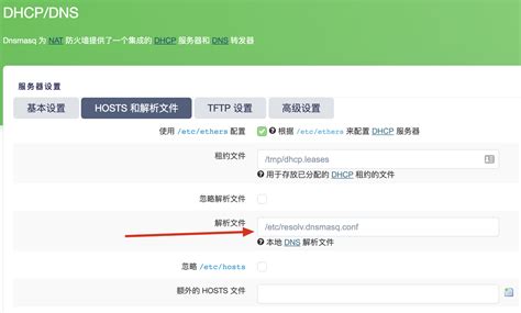 openwrt dnsmasq dns 配置，运行机制初探 - Allen Hua 的网络博客