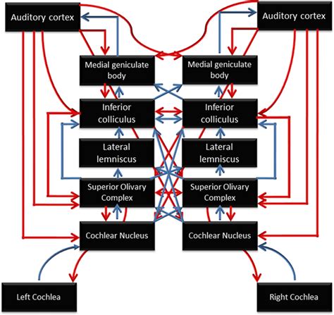 Opera Hypothesis