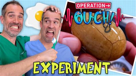 Operation Ouch Eggy Teeth Experiment Bbc Home Teeth Science Experiments - Teeth Science Experiments