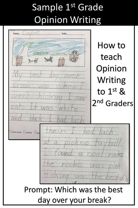 Opinion Writing Lessons Unit Ndash The Ginger Teacher Opinion Writing Lesson - Opinion Writing Lesson
