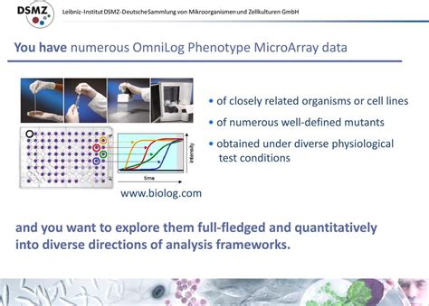 Full Download Opm An R Package For Analysing Omnilog Phenotype 