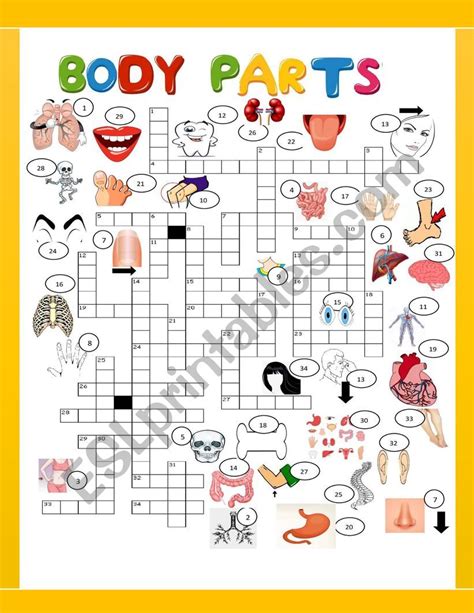 Opposable Body Part Crossword Clue Jumbleanswers Com Body Parts Crossword Clue - Body Parts Crossword Clue