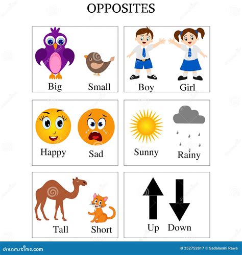 opposite | OPPOSITE ngha trong ting Ting Vit t
