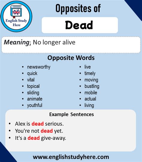 Opposite Of Dead