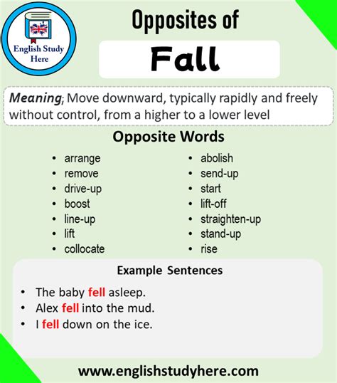 Opposite Of Fall