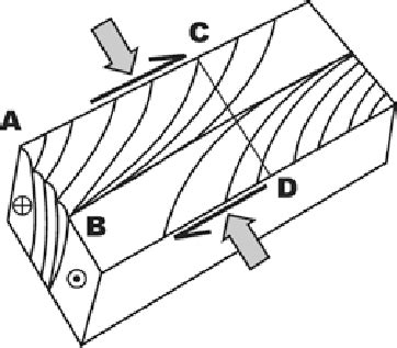 Opposite Of Fault