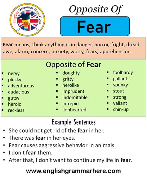Opposite Of Fear