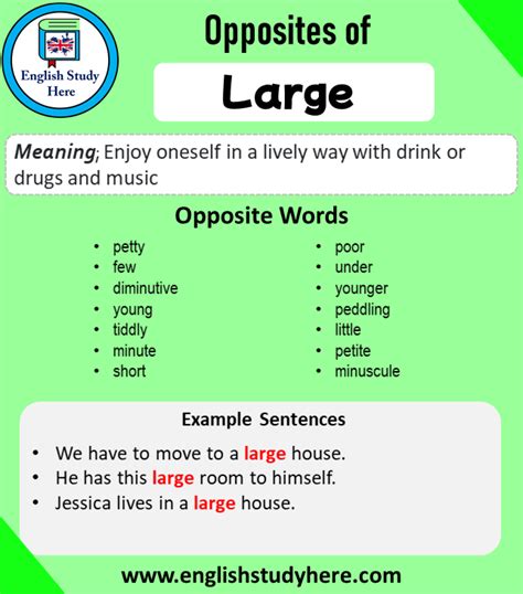 Opposite Of Large