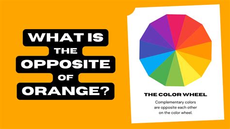 Opposite Of Orange