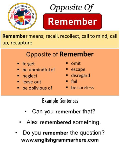 Opposite Of Remember
