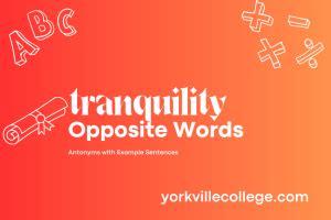 Opposite Of Tranquility