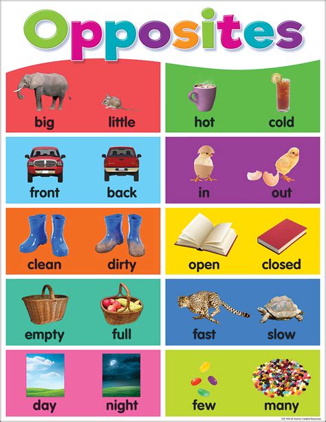 Opposites Game For Toddlers And Preschoolers Kokotree Pictures Of Opposites For Preschool - Pictures Of Opposites For Preschool