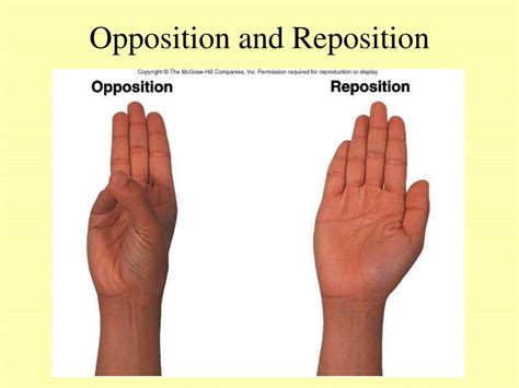 Opposition And Reposition