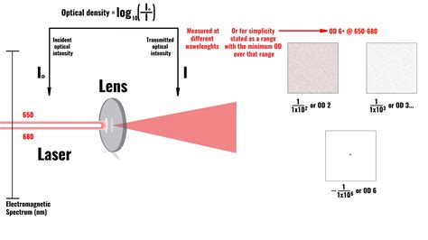 optical density 측정