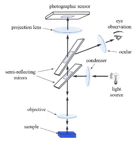 optical microscope 원리