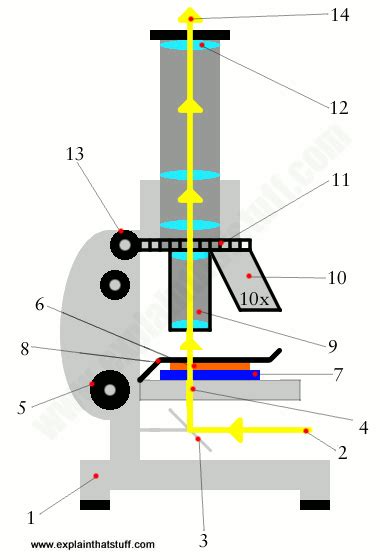 optical microscope how it works