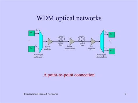 Optical Wdm Networks