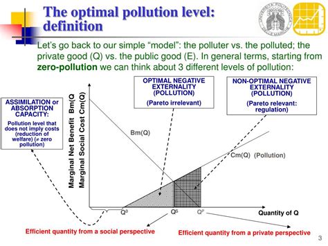 Optimal Pollution Level A Theoretical Identification