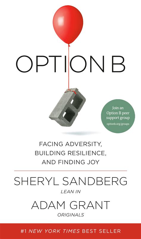 Option B: Facing Adversity, Building Resilience, And Finding Joy