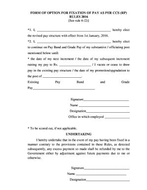 Option Form For Pay Fixation