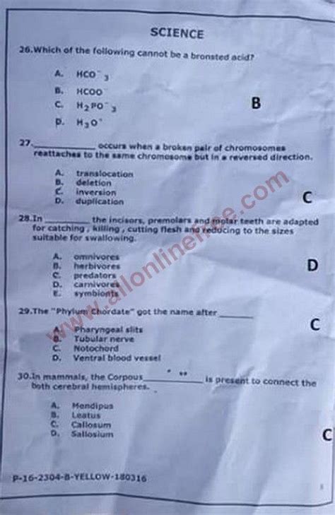 Download Optional Sats Papers Year 8 Science 