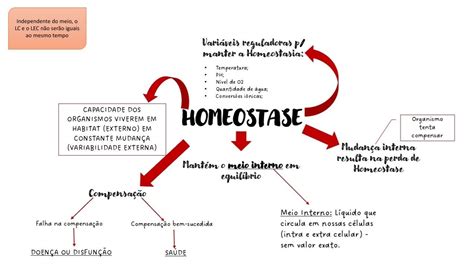 O'que é Homeostase