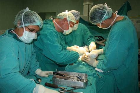 orşiektomi ameliyatı