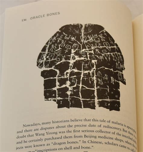 oracle bones a journey between china and the west