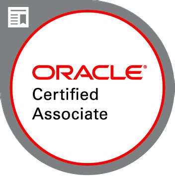 Oracle Certified Associate Java S E 8 Programmer I 1 Z0 808 Practice Tests: 260 Questions To Assess Your O C A Preparation ( Java Certification)