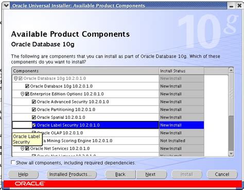 Full Download Oracle 10G Rac Installation Guide 